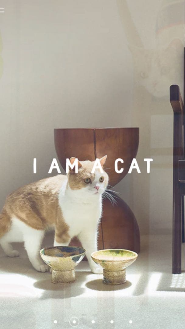 I AM A CAT ごはんのうつわ＆ガラスボウルとヴィンテージ糸巻きのＳＥＴ