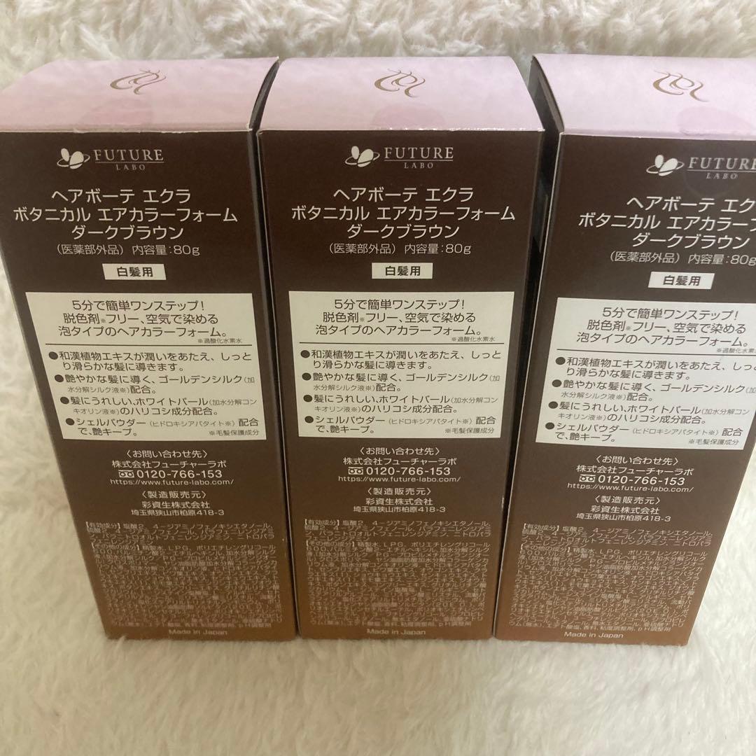 新品 ヘアボーテ エクラ ボタニカル エアカラーフォーム 80g 3個 ブラウン