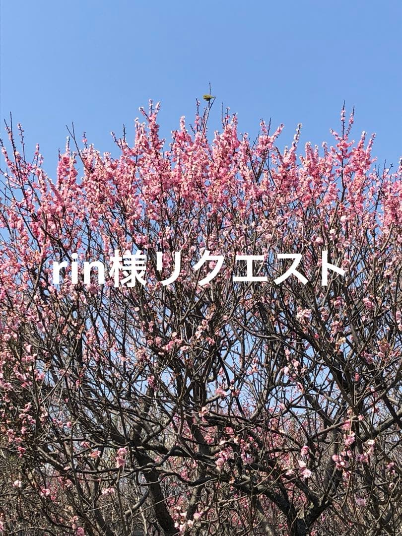 rin様リクエストページ
