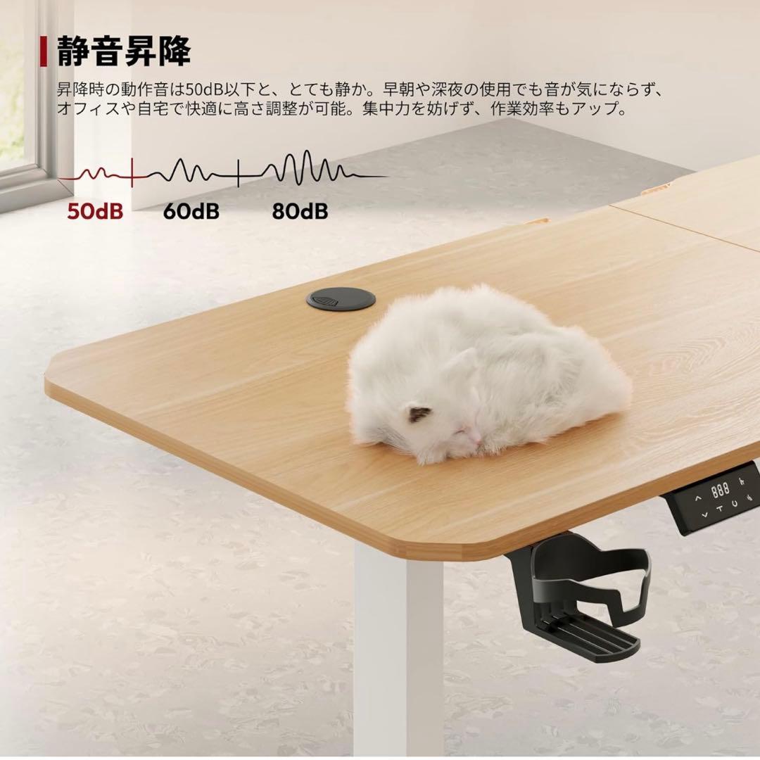SANODESK 昇降デスク QS1 スタンディングデスク 110×60cm