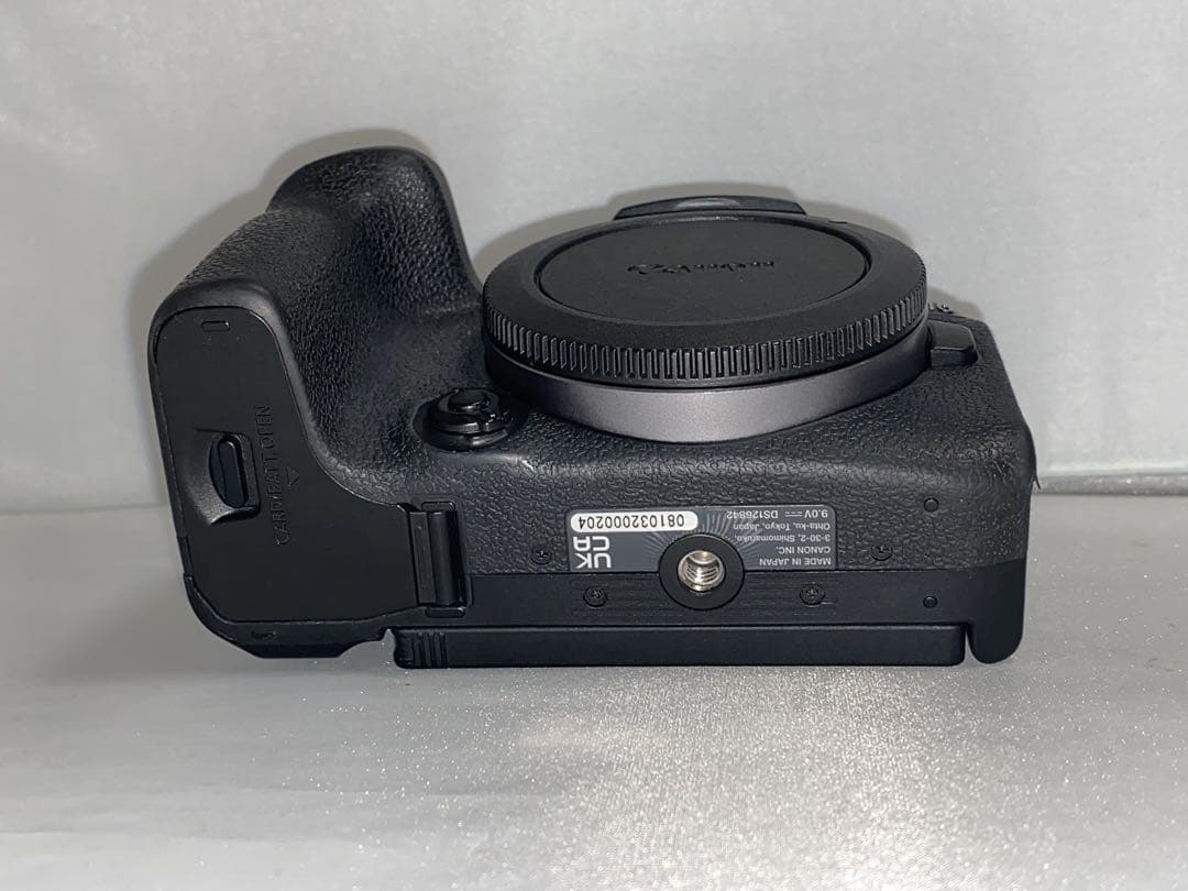 【美品493回】 Canon eos R10 ボディ 本体
