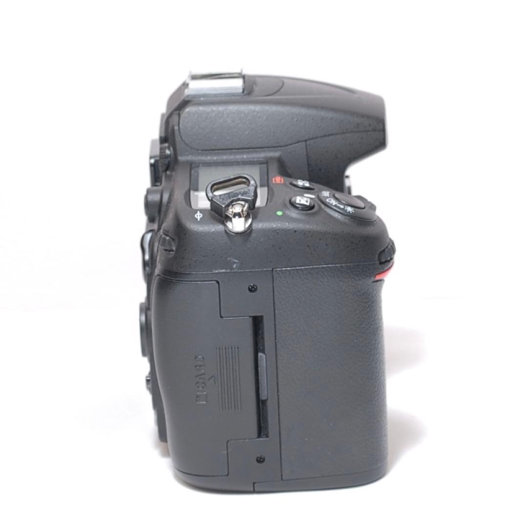 高速連写機能✨Nikon D7000✨ニコン✨ダブルレンズ✨野球観戦に