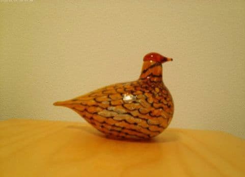  Birds ライチョウ Summer Grouse