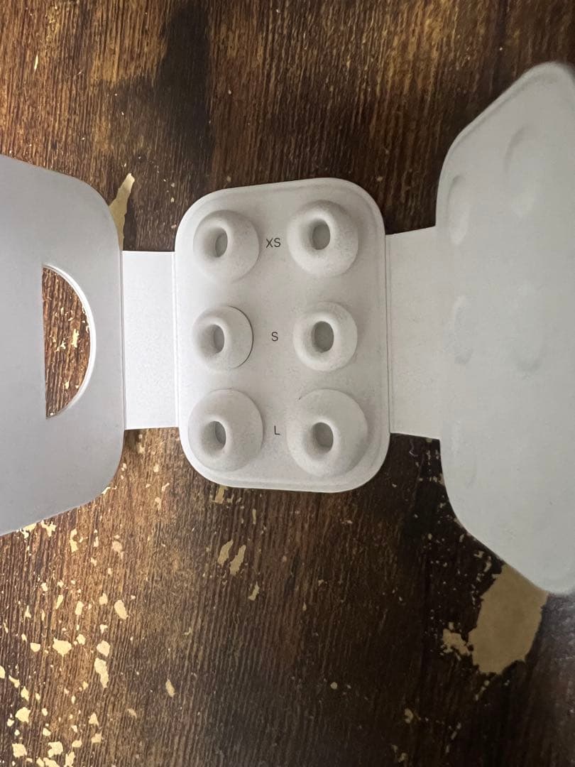 AirPods Pro 2nd Generation 本体