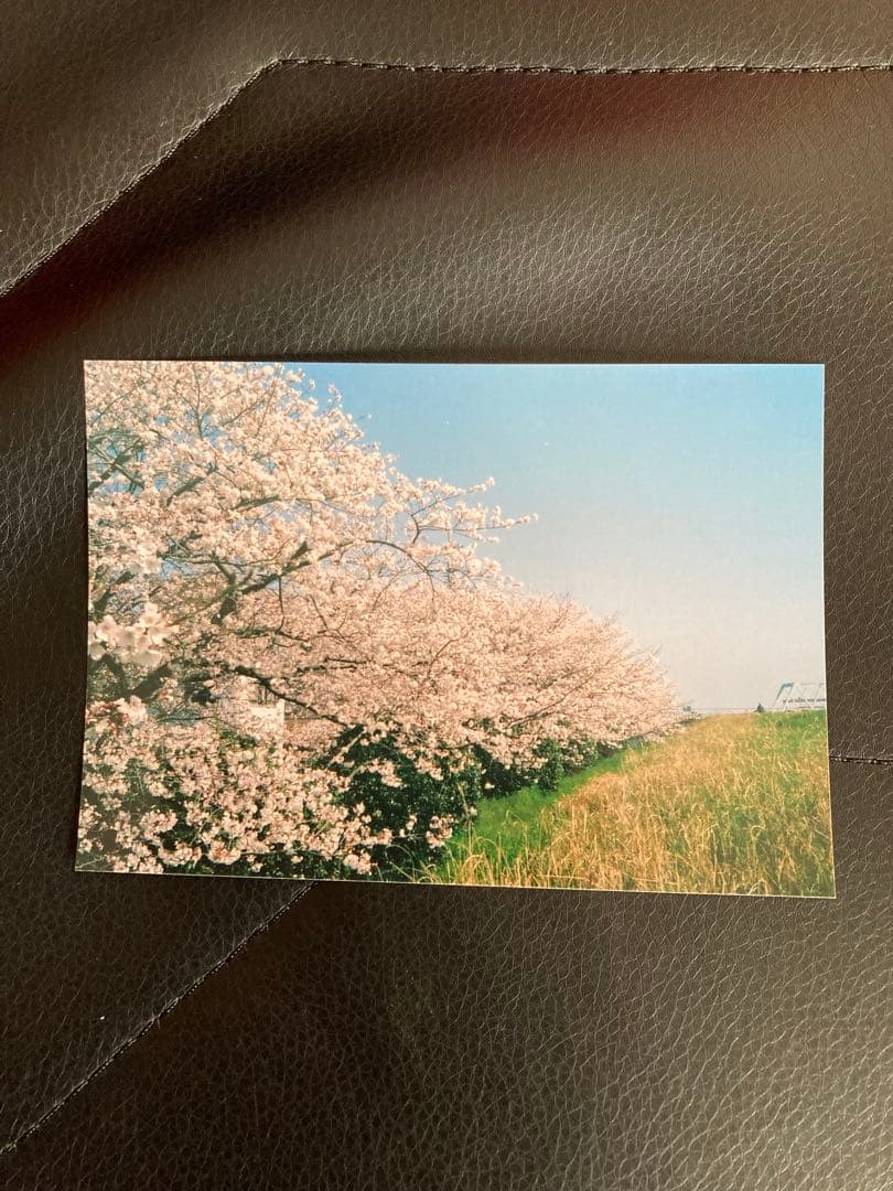 ❇️ Konica C35 とフィルムセット❇️ ✅ 自然光では良く写ります。