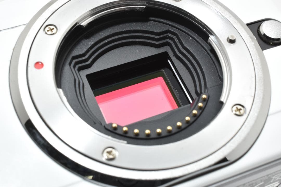 【ショット数 15973回】 OLYMPUS オリンパス E-P1 シルバー