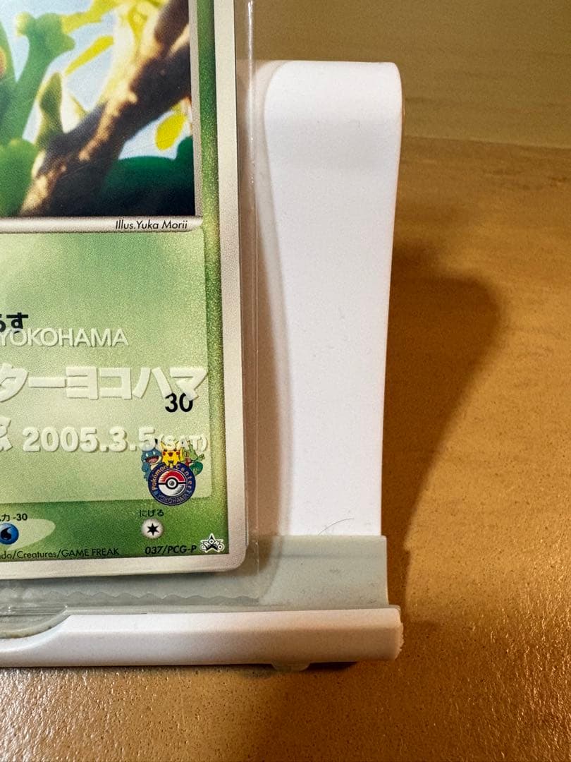 ポケモンカード　キモリ ポケモンセンターヨコハマプロモカード 037/PCG-P