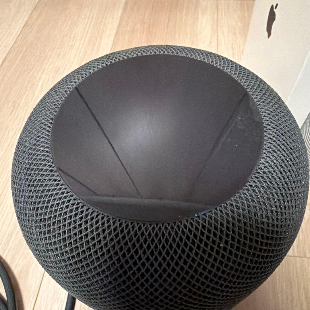 Apple Pod スペースグレー第一世代