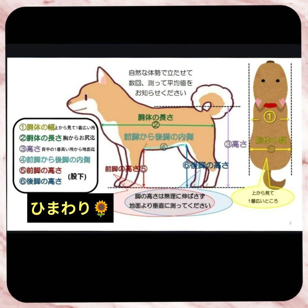 ワンちゃん4輪　リハビリ　食事補助　犬用車椅子　シニア犬介護　犬の歩行器