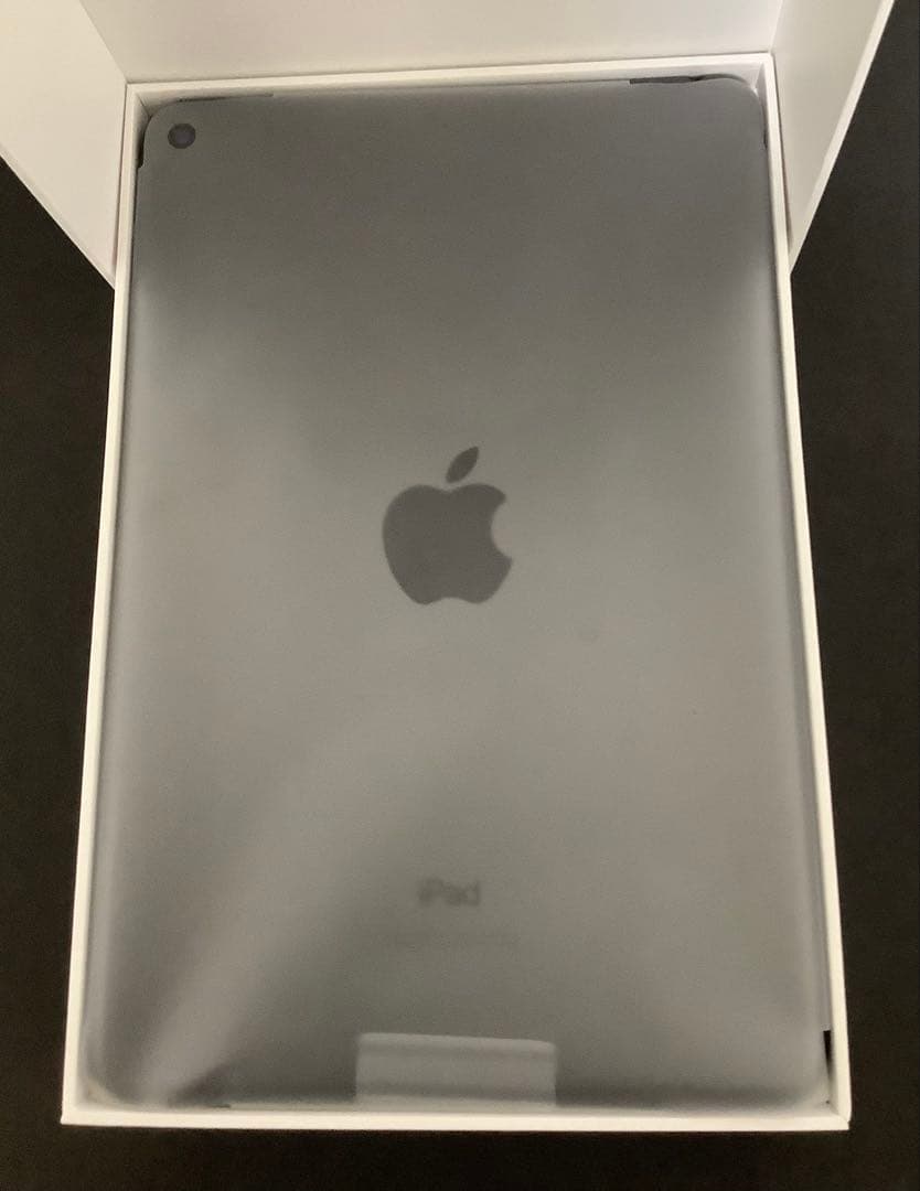 iPad mini5 256GB Wi-Fi 箱あり Apple 即購入OK