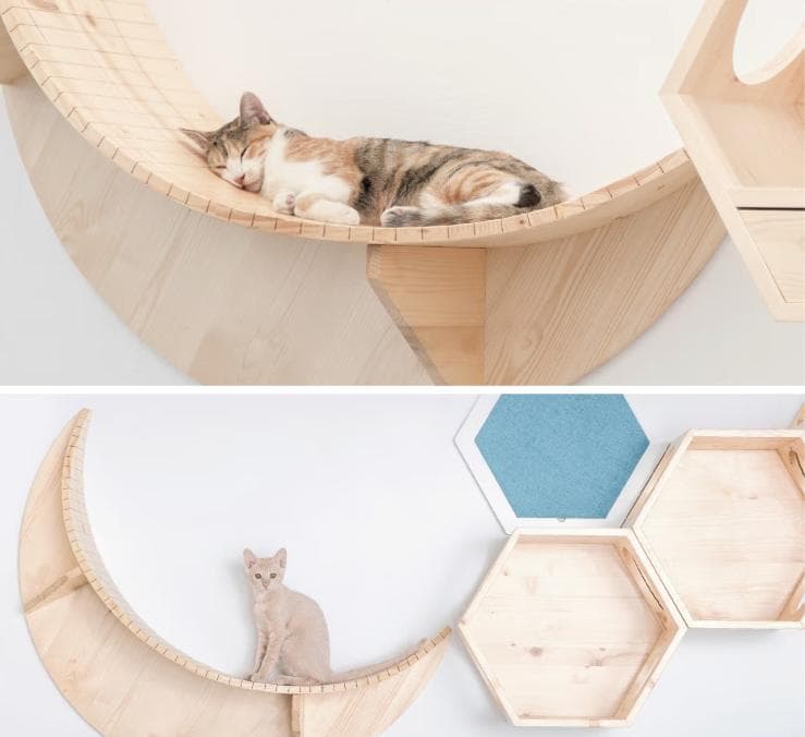 【新品】MYZOO LUNA ＆ animacolle キャットロードプラス
