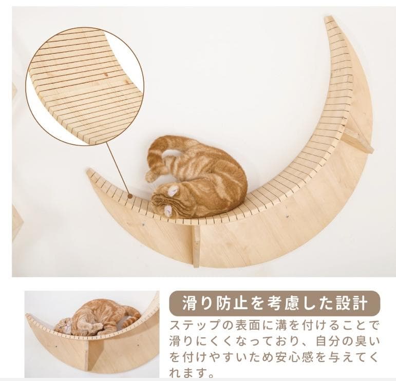 【新品】MYZOO LUNA ＆ animacolle キャットロードプラス