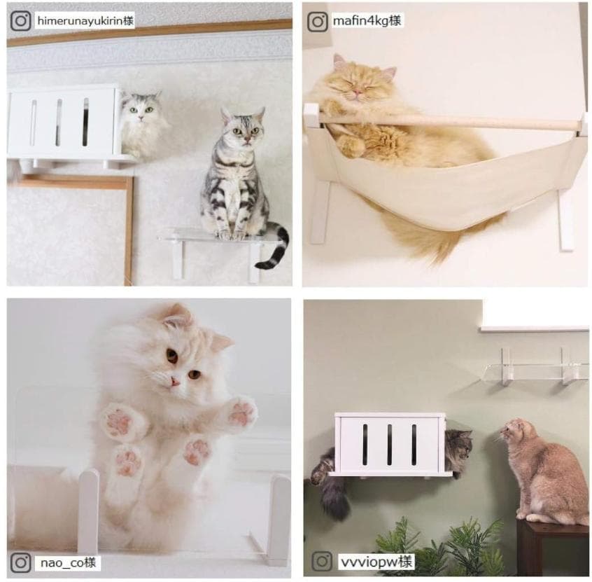 【新品】MYZOO LUNA ＆ animacolle キャットロードプラス