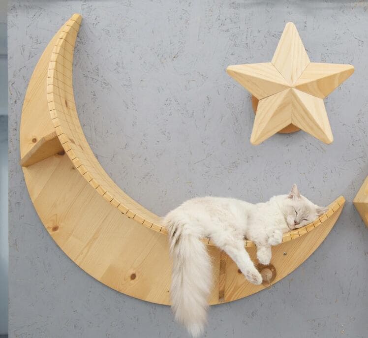 【新品】MYZOO LUNA ＆ animacolle キャットロードプラス