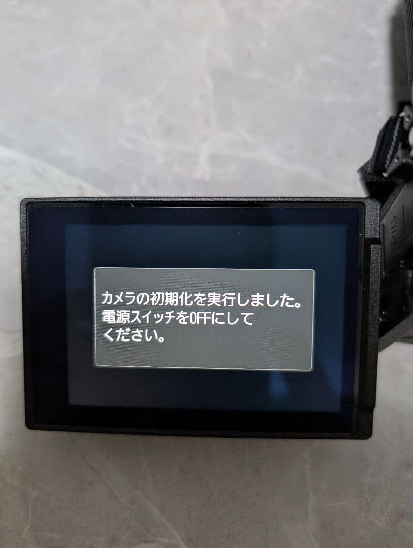 Nikon Z50II ダブルズームキット ブラック プロテクター付き
