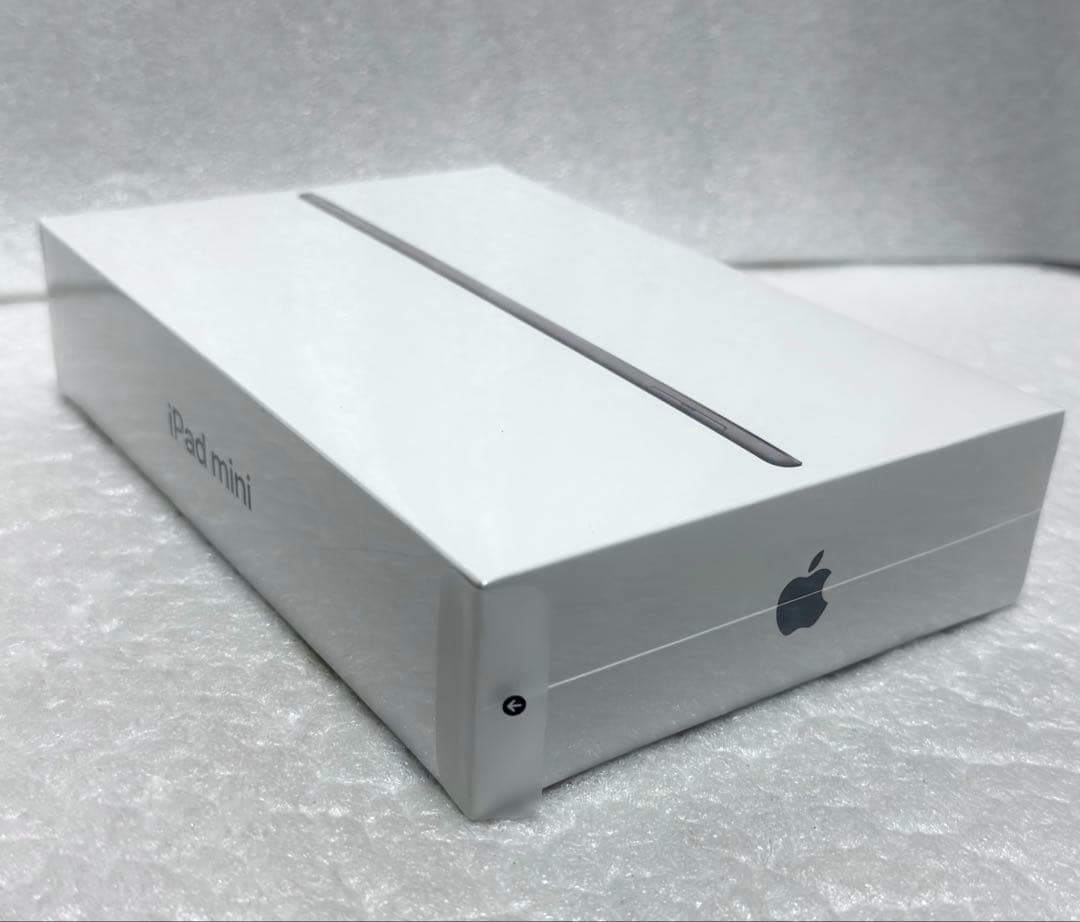 新品未開封　2026年3月購入品　iPad mini 5 Wi-Fi 256GB