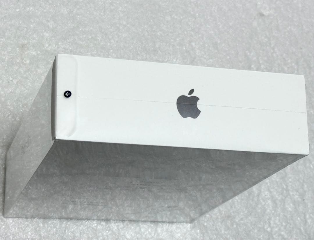 新品未開封　2026年3月購入品　iPad mini 5 Wi-Fi 256GB