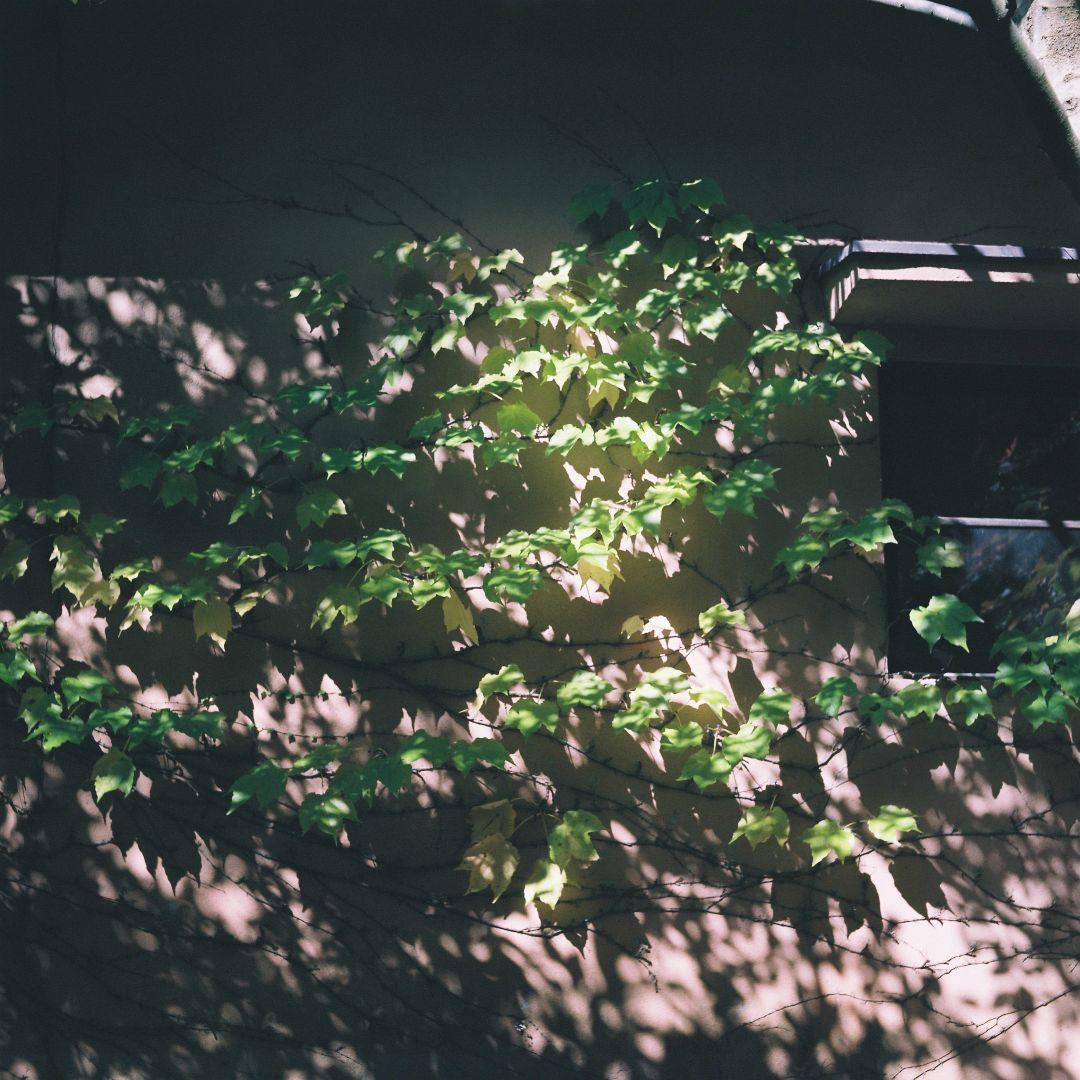 Rolleicord Ⅴb 5b 二眼レフカメラ