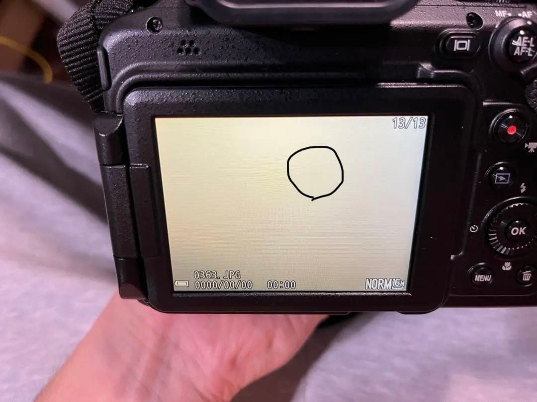 ひ*ー様 （バッグ付き）Nikon COOLPIX P1000 デジタルカメラ