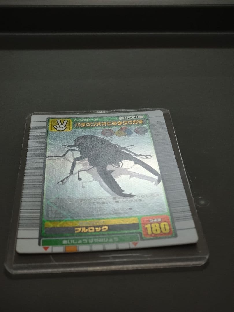 020Nパラワンオオヒラタクワガタ 2003 SUMMER 美品