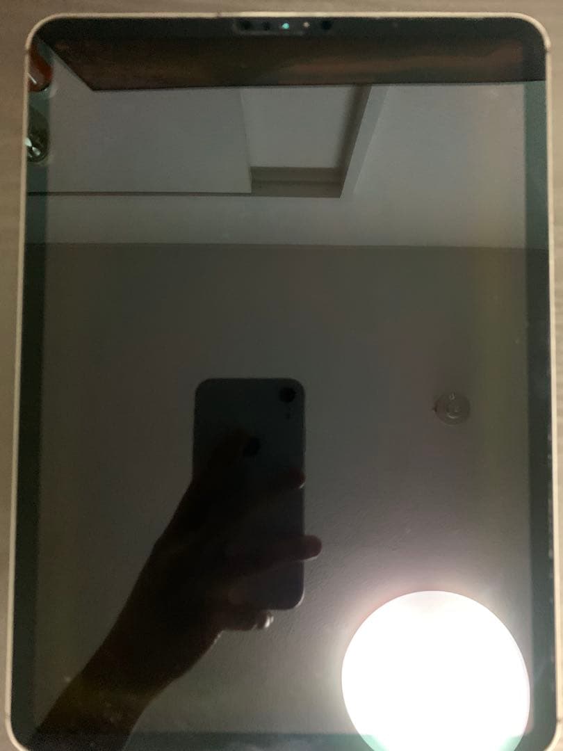 iPad Pro 11インチ 第1世代 64GB WiFi+Cellular