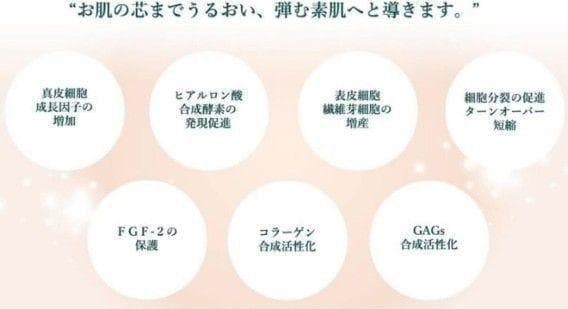 リジェナ セラム 4点セット 強力な保湿作用 スベスベのお肌 10歳若返り肌
