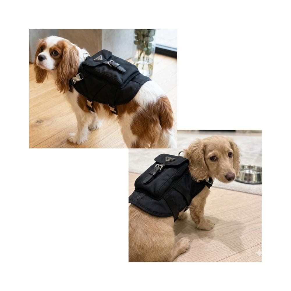 愛犬もプラダ♪ PRADA ペット用品 2YX003 ハーネス ロゴポーチ付