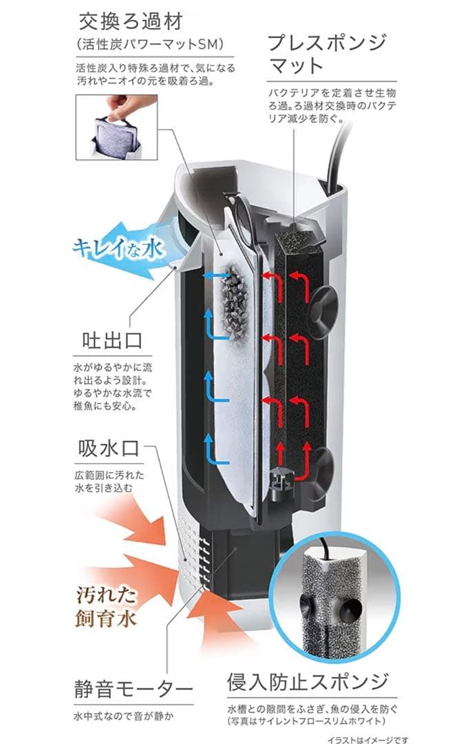 ガラス水槽　フィルター　ヒーター　カルキ抜き　活性炭　スターターセット　熱帯魚