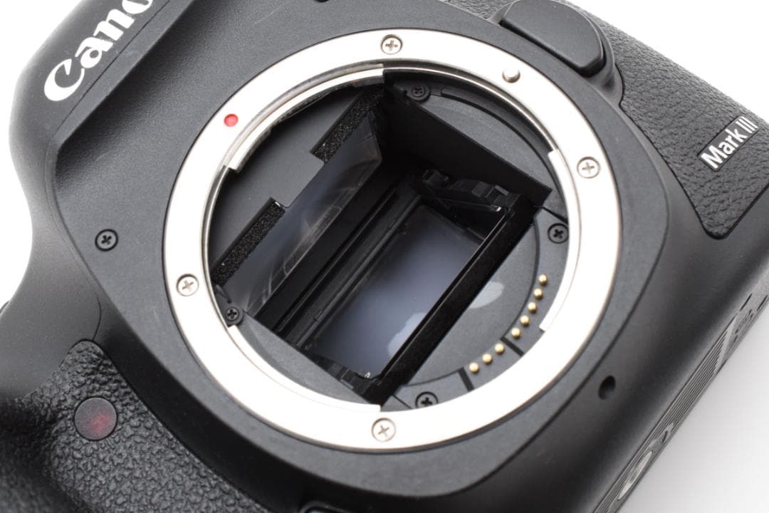 キャノン　Canon EOS 5D MarkIII　《ショット数16934回 》