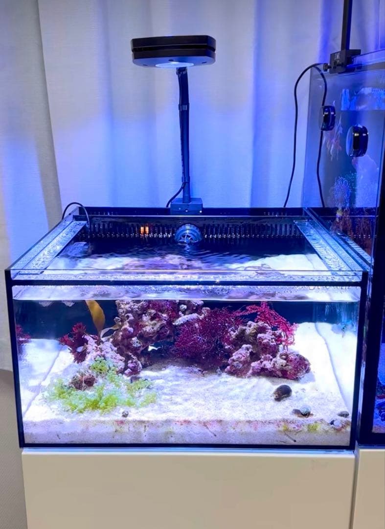 AI PRIME 26HD(プライムＨＤ）ブラック 海水槽用ＬＥＤライト