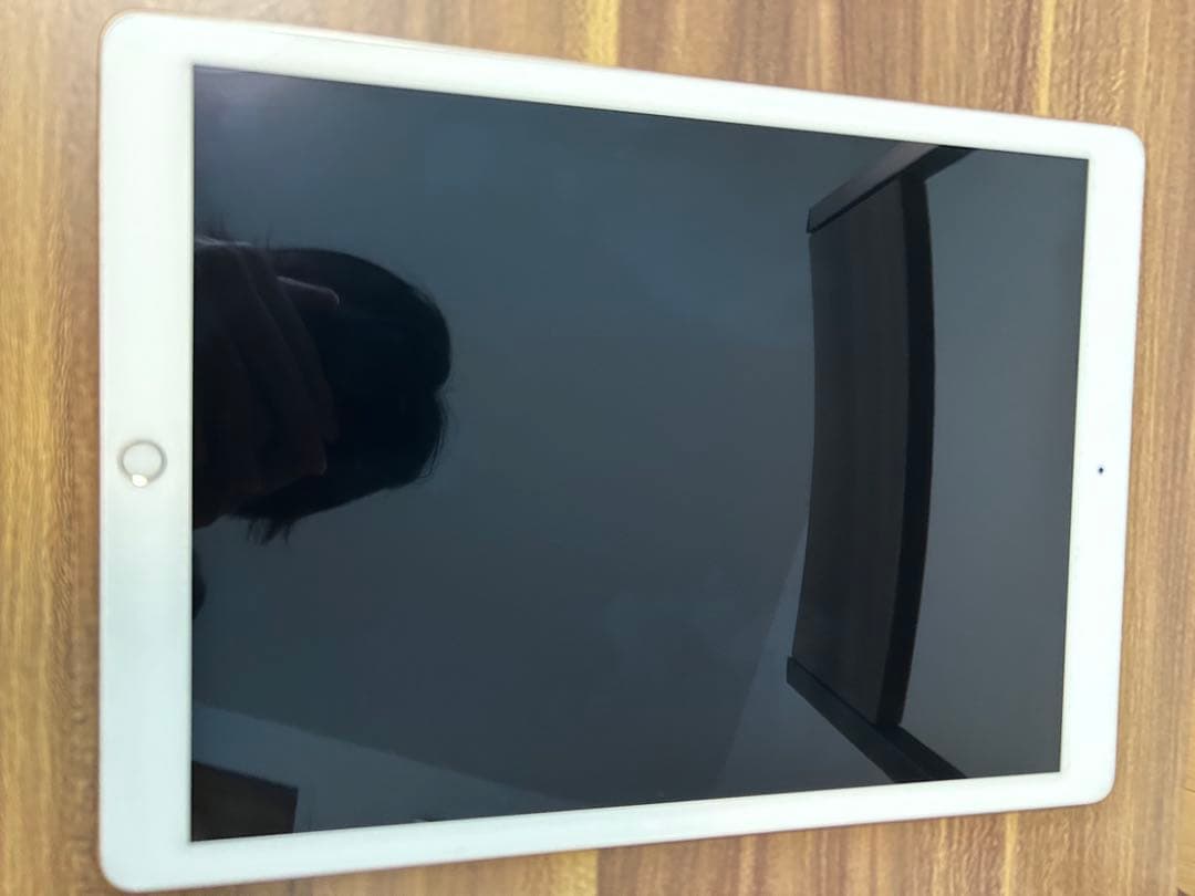 【即日発送！】iPad Pro 12.9インチ 第2世代 256GB