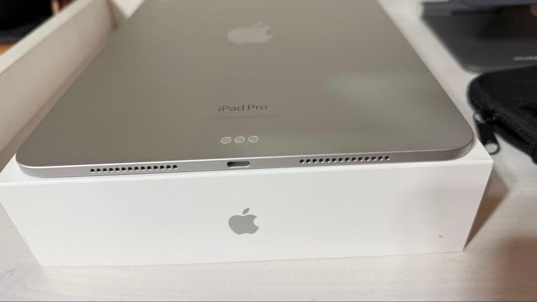 おまけ多数　iPad Pro 256GB 11インチ Wi-Fiシルバー M4
