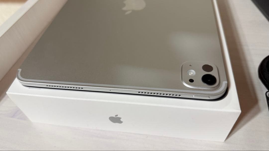 おまけ多数　iPad Pro 256GB 11インチ Wi-Fiシルバー M4
