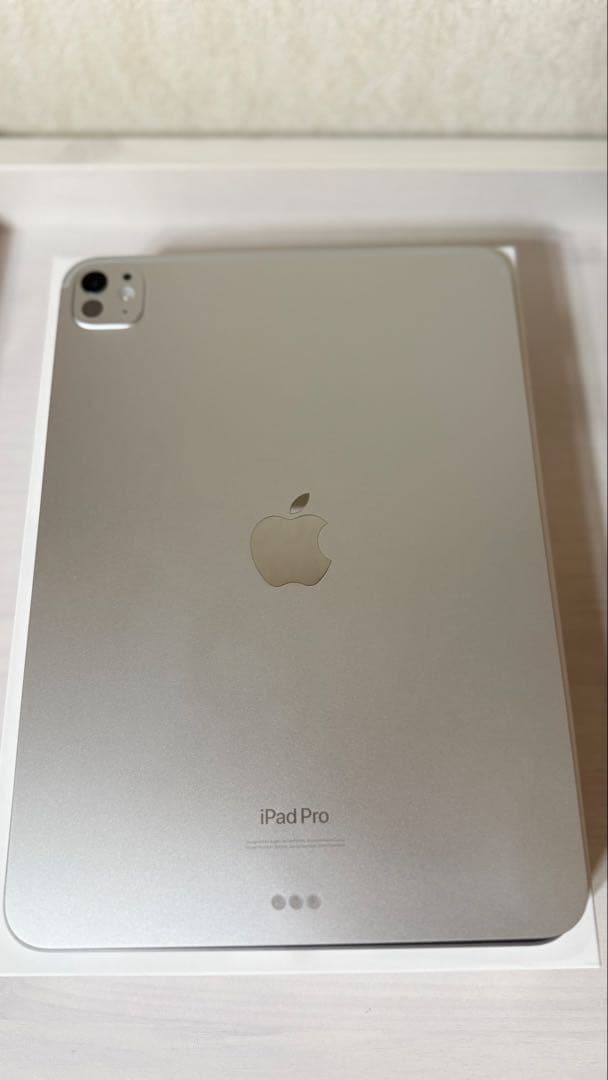 おまけ多数　iPad Pro 256GB 11インチ Wi-Fiシルバー M4