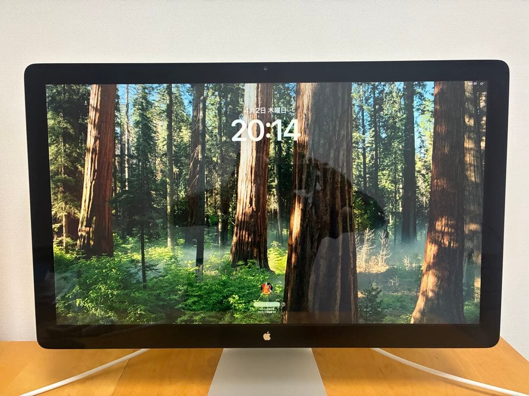 【なまもんさん専用】Apple Thunderbolt Display