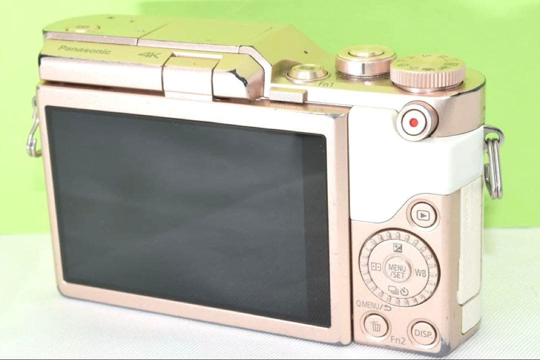 Panasonic DC-GF10 ☆送料無料☆