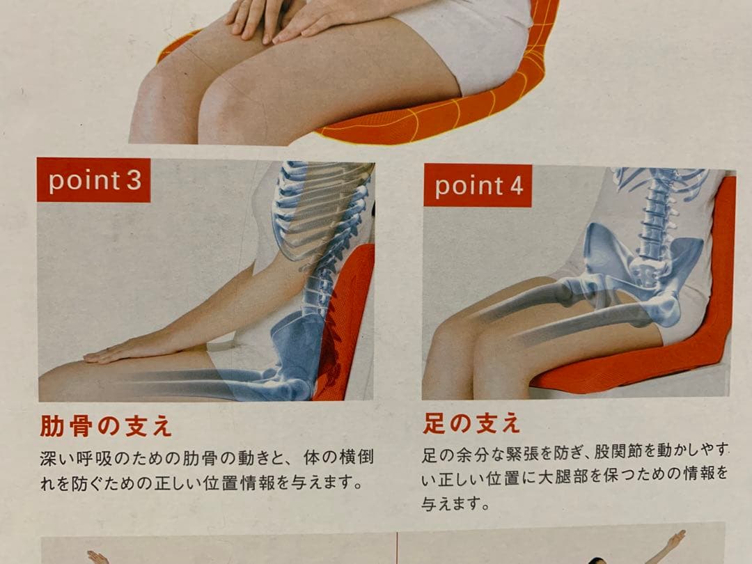 美品　p!nto pinto 姿勢矯正クッション ブラウン