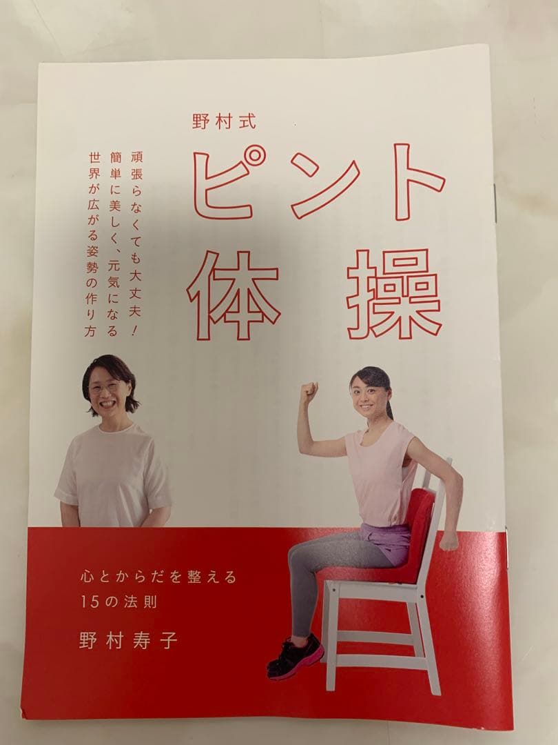 美品　p!nto pinto 姿勢矯正クッション ブラウン