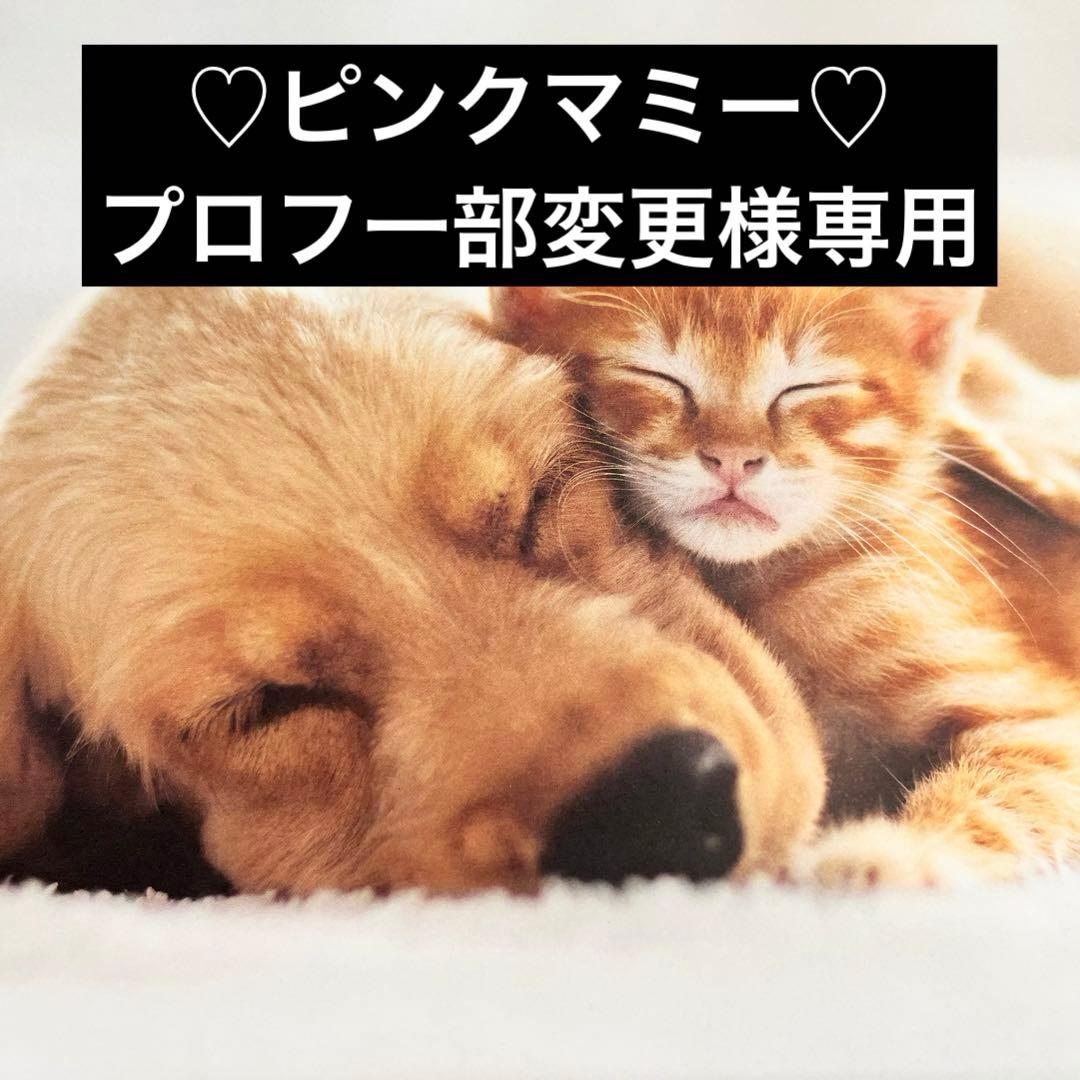 ♡ピンクマミー♡ プロフ一部変更