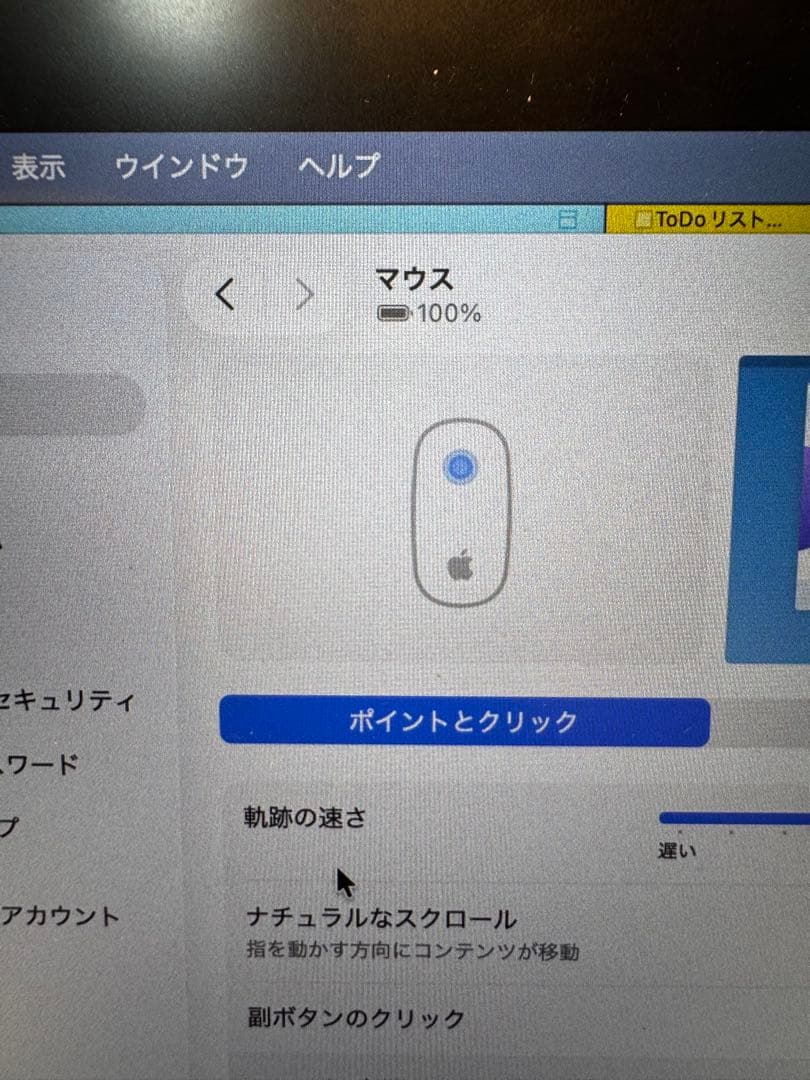 Apple Magic Mouse 本体