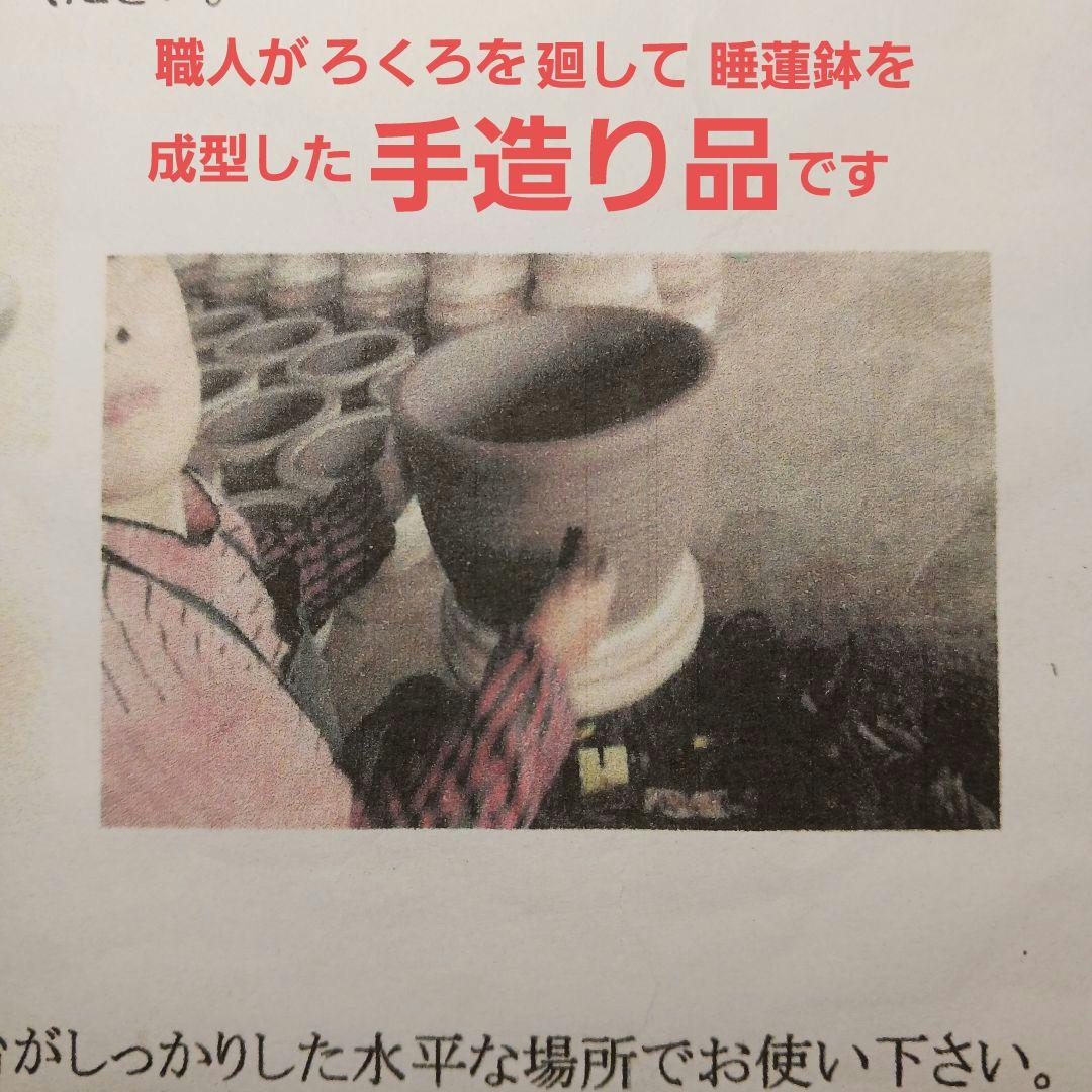 新品　∅50　陶器　睡蓮鉢　特大　メダカ鉢　白　ホワイト　ルーバー　難有　LWH
