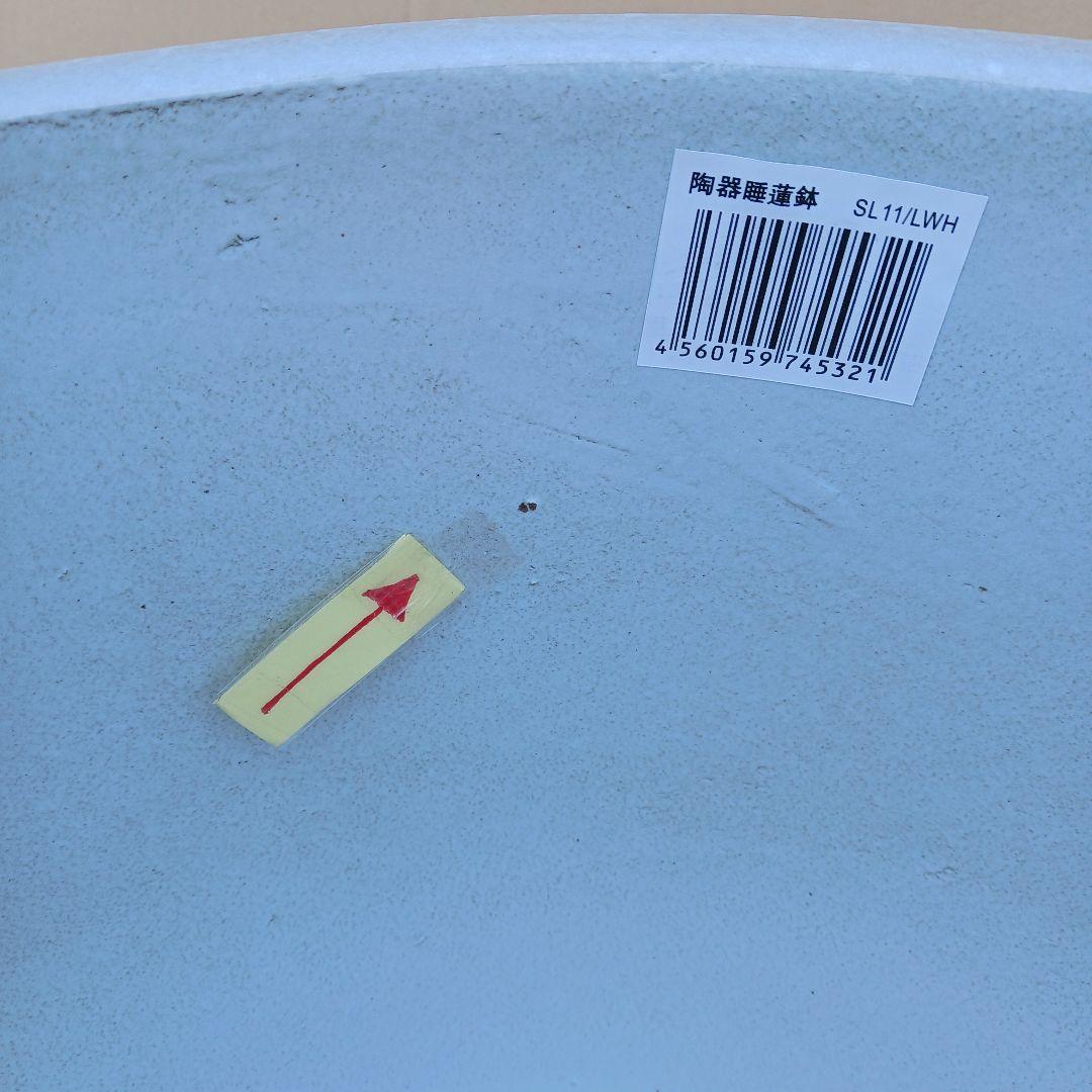 新品　∅50　陶器　睡蓮鉢　特大　メダカ鉢　白　ホワイト　ルーバー　難有　LWH