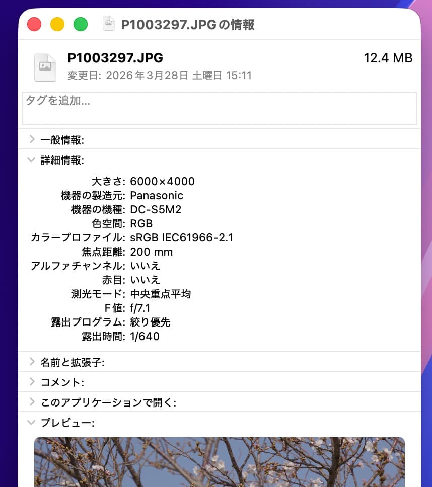 完動美品Panasonic Lumix DC-S5M2H 望遠ズームレンズキット
