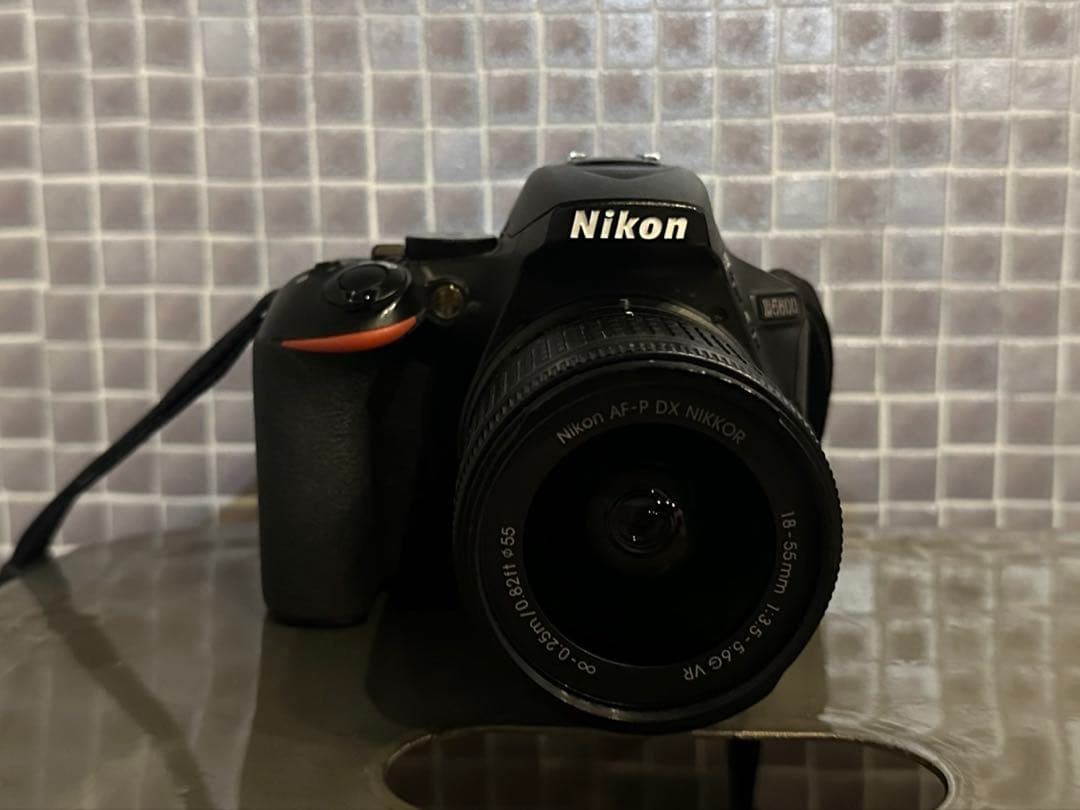 本日限定価格 Nikon D5600 デジタル一眼レフカメラ 本体とレンズ付き