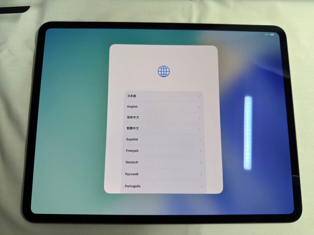 【美品】Apple iPad Pro M4 13インチ 256GB