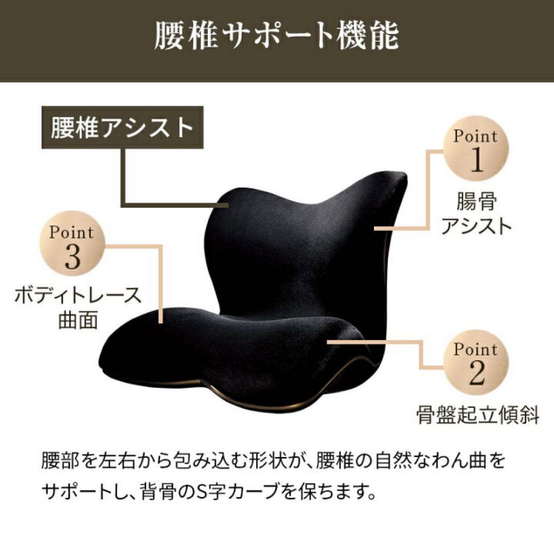 【美品】Style PREMIUM DX スタイル プレミアムDX