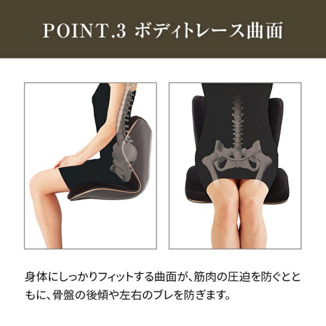 【美品】Style PREMIUM DX スタイル プレミアムDX