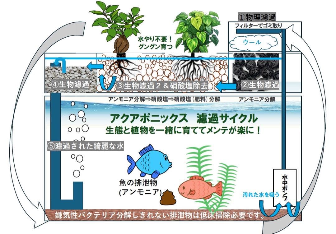 Ryu-ku専用 60cm水槽用フィルター