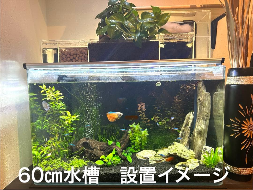 Ryu-ku専用 60cm水槽用フィルター