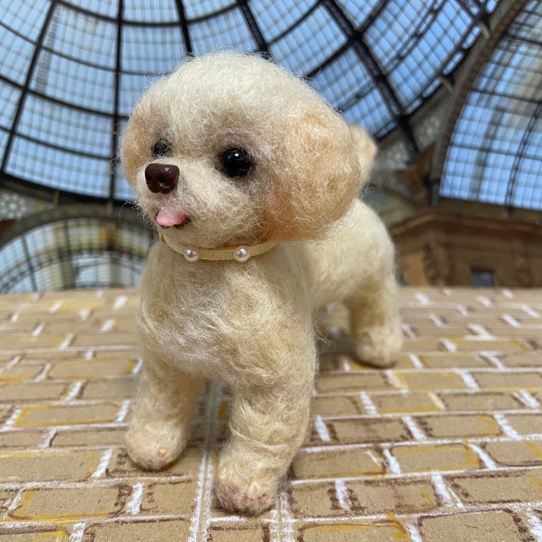 547♥︎マルプー犬の羊毛フェルト❣️